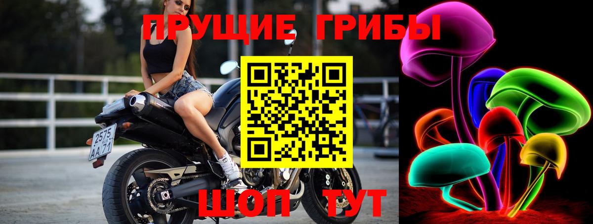 Псилоцибиновые грибы мицелий  Вход с VPN  Нефтекумск  Галлюциногенные грибы прущие грибы 